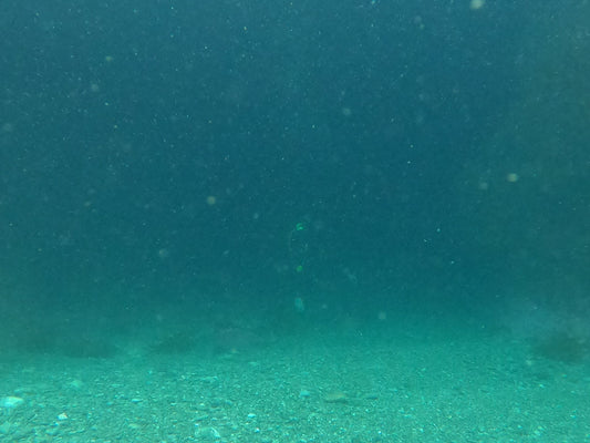 Reading the Weather Like a Diver