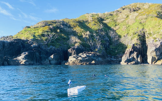 Afraid to start? Here's What the Ocean Taught Me...