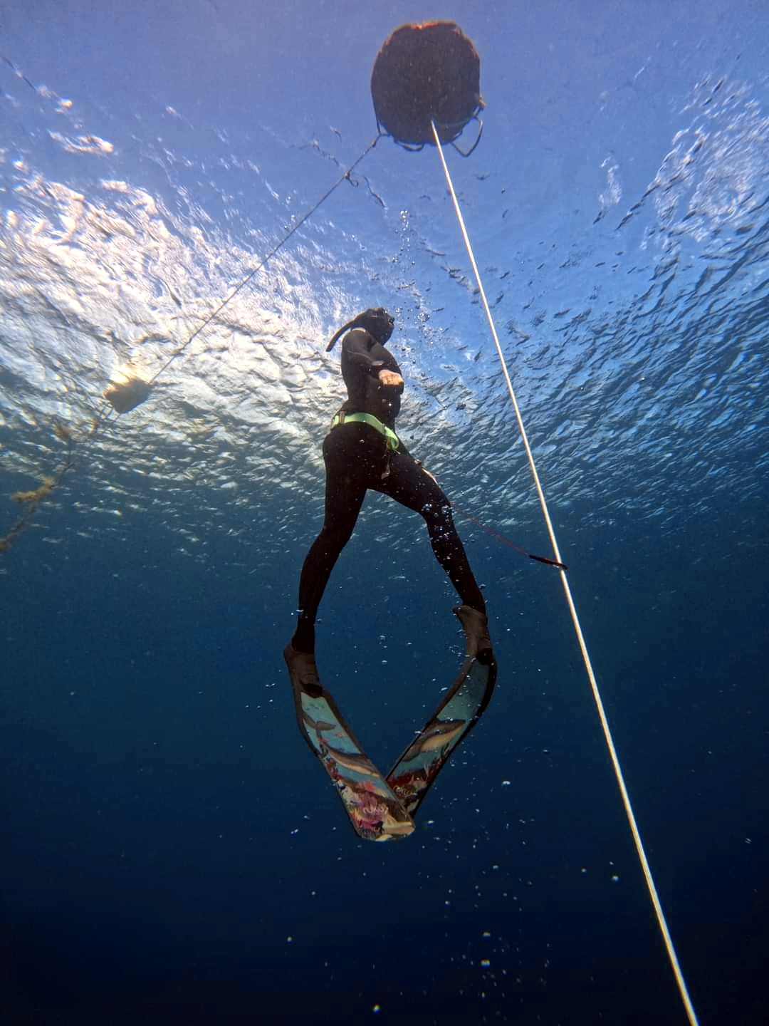 PADI Freediver Course (Awe Freedive)
