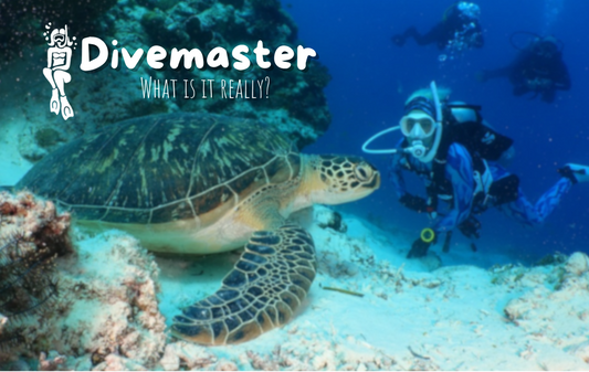 Divemaster – What Is It Really?