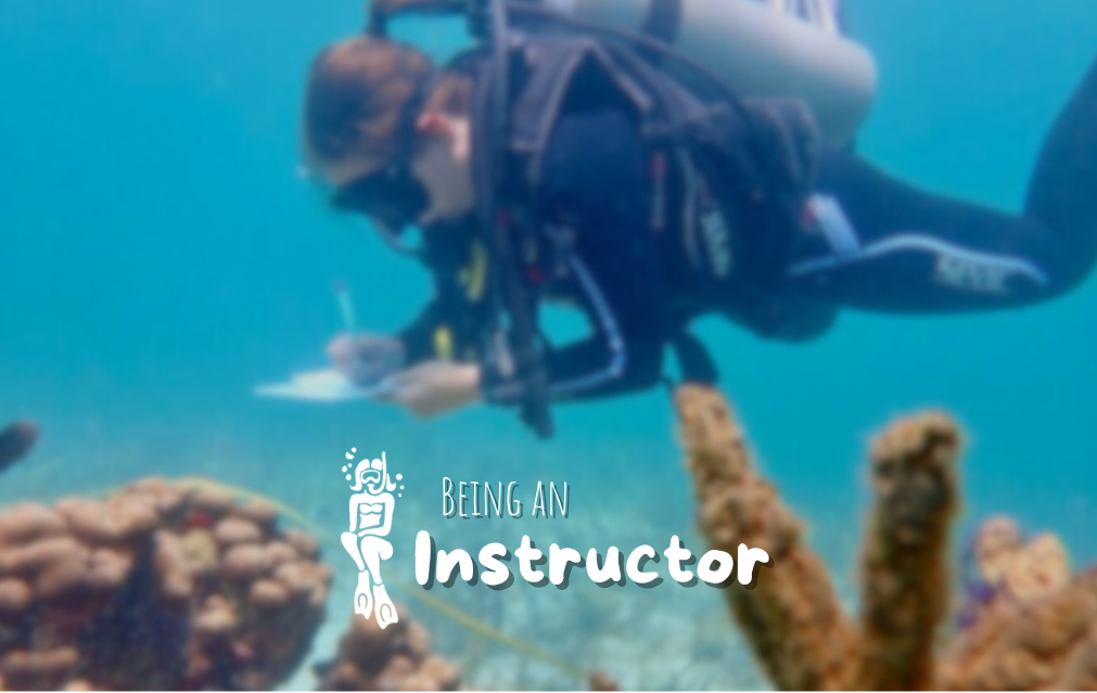Being an Instructor