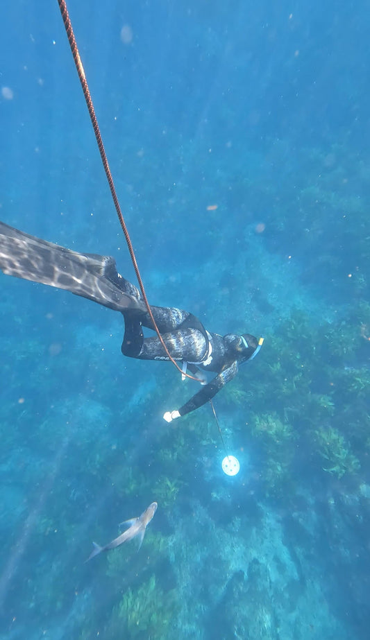 Reflections from a Wāhine Diving Empowerment Grant Journey
