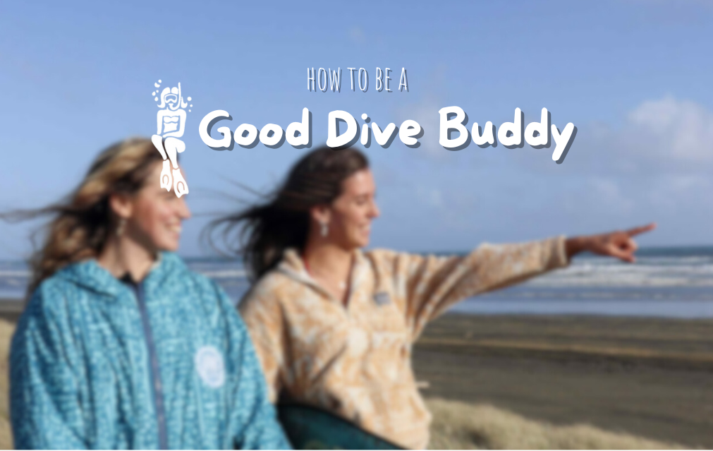How to Be a Good Dive Buddy