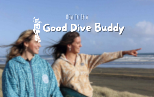 How to Be a Good Dive Buddy