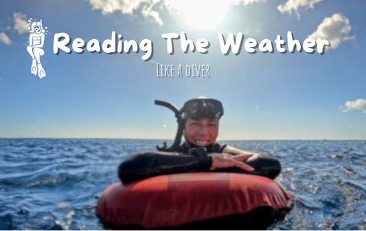 Reading the Weather Like a Diver