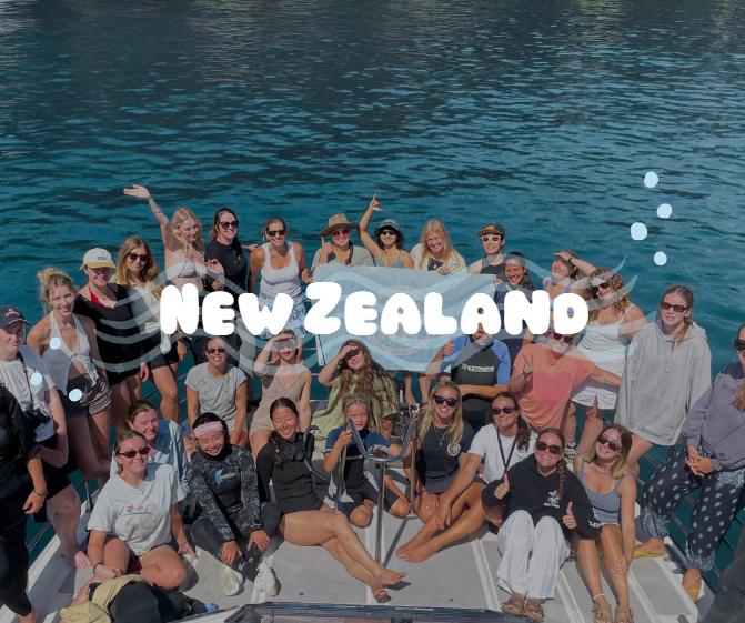 New Zealand Trips & Events
