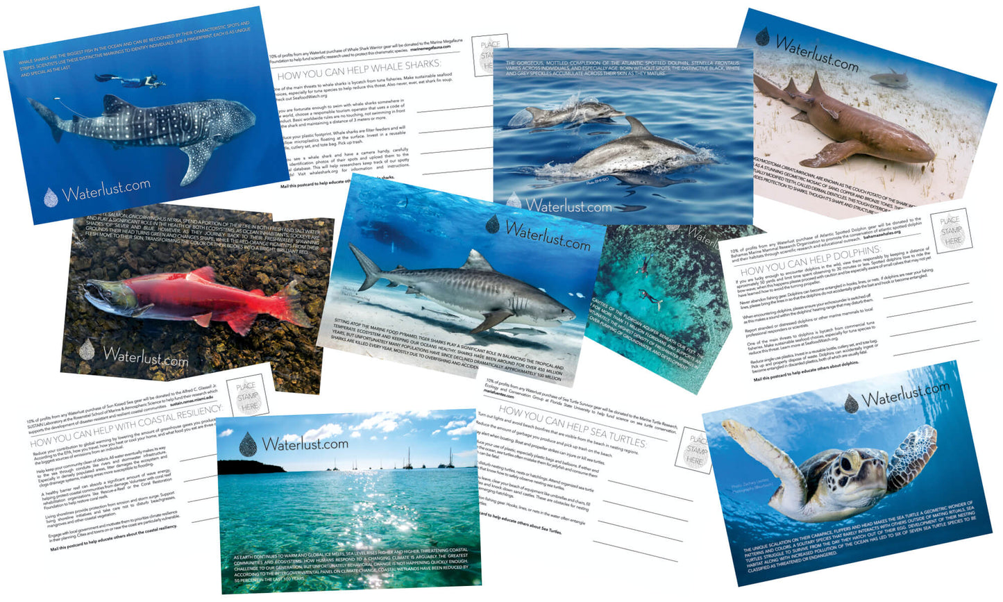 Waterlust Promo