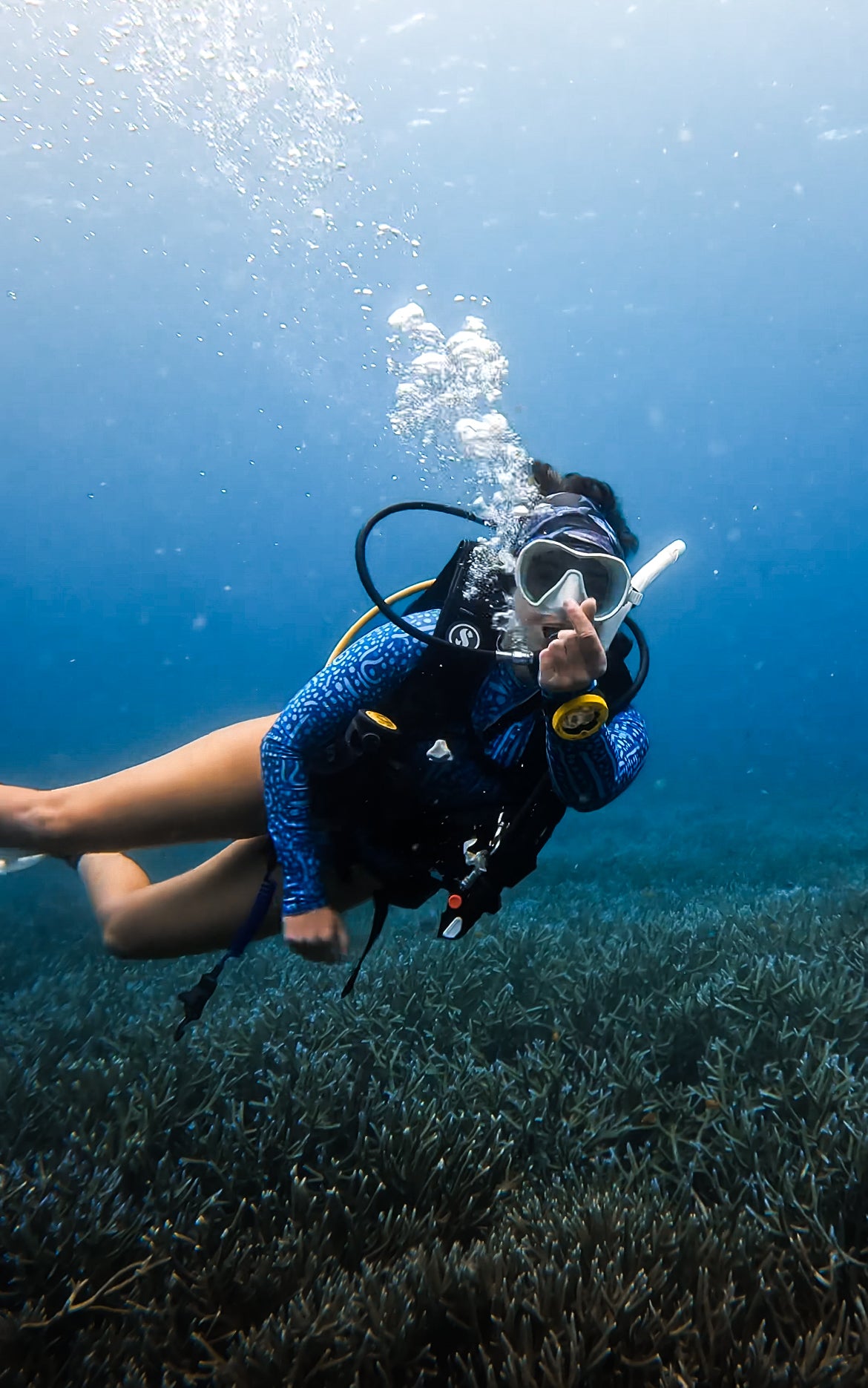 The Whale Shark Suit