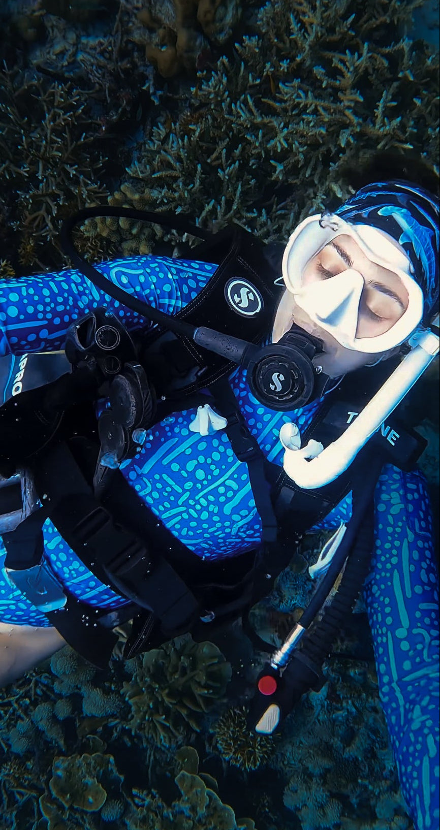 The Whale Shark Suit