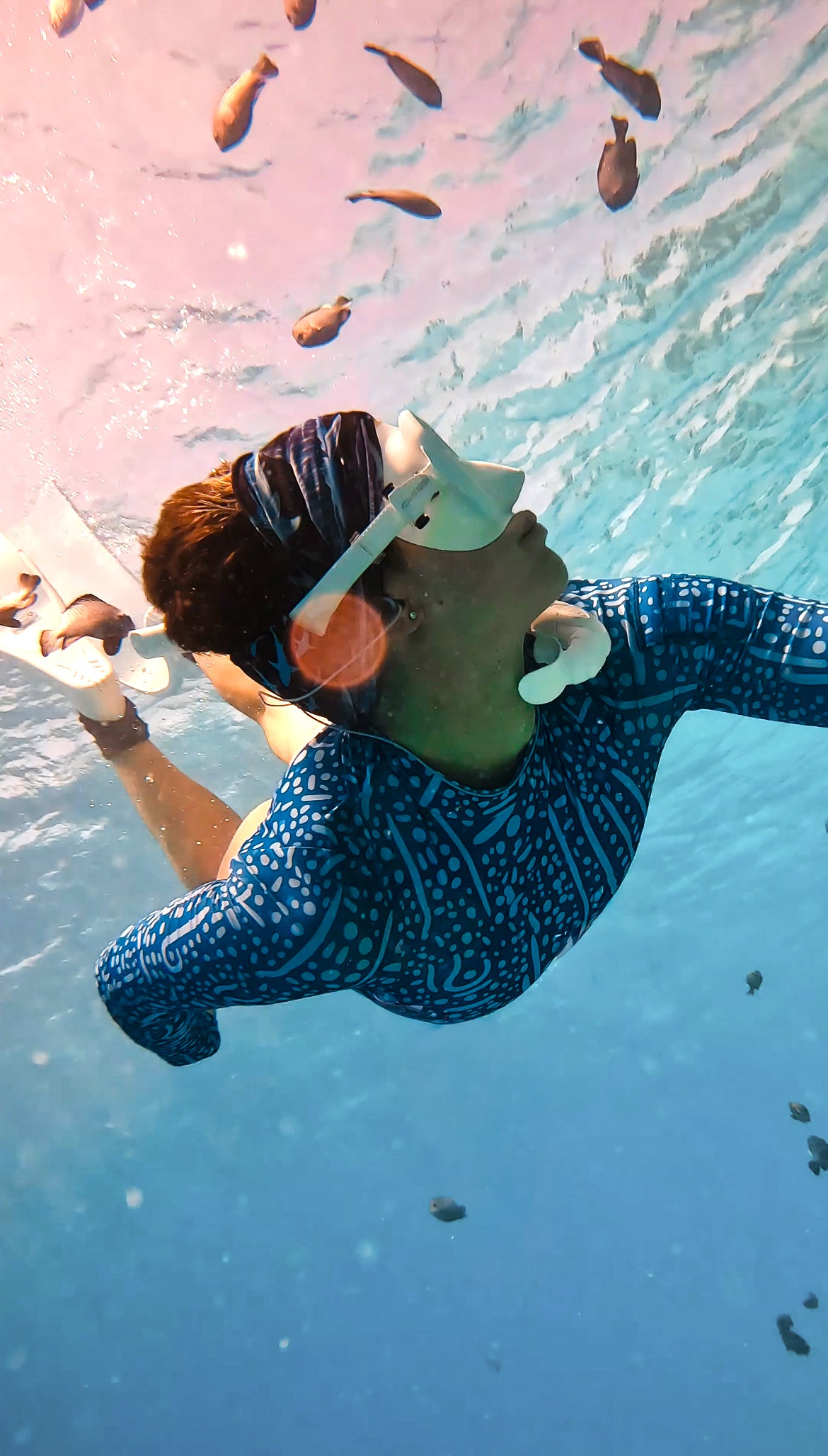 The Whale Shark Suit