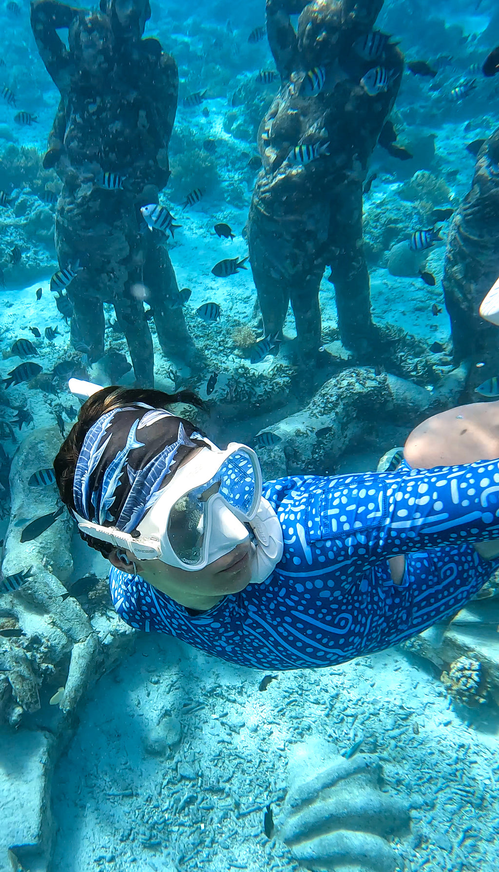 The Whale Shark Suit