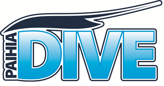 Paihia Dive Discounts