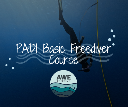 PADI Basic Freediver Course Discount (Awe Freedive)
