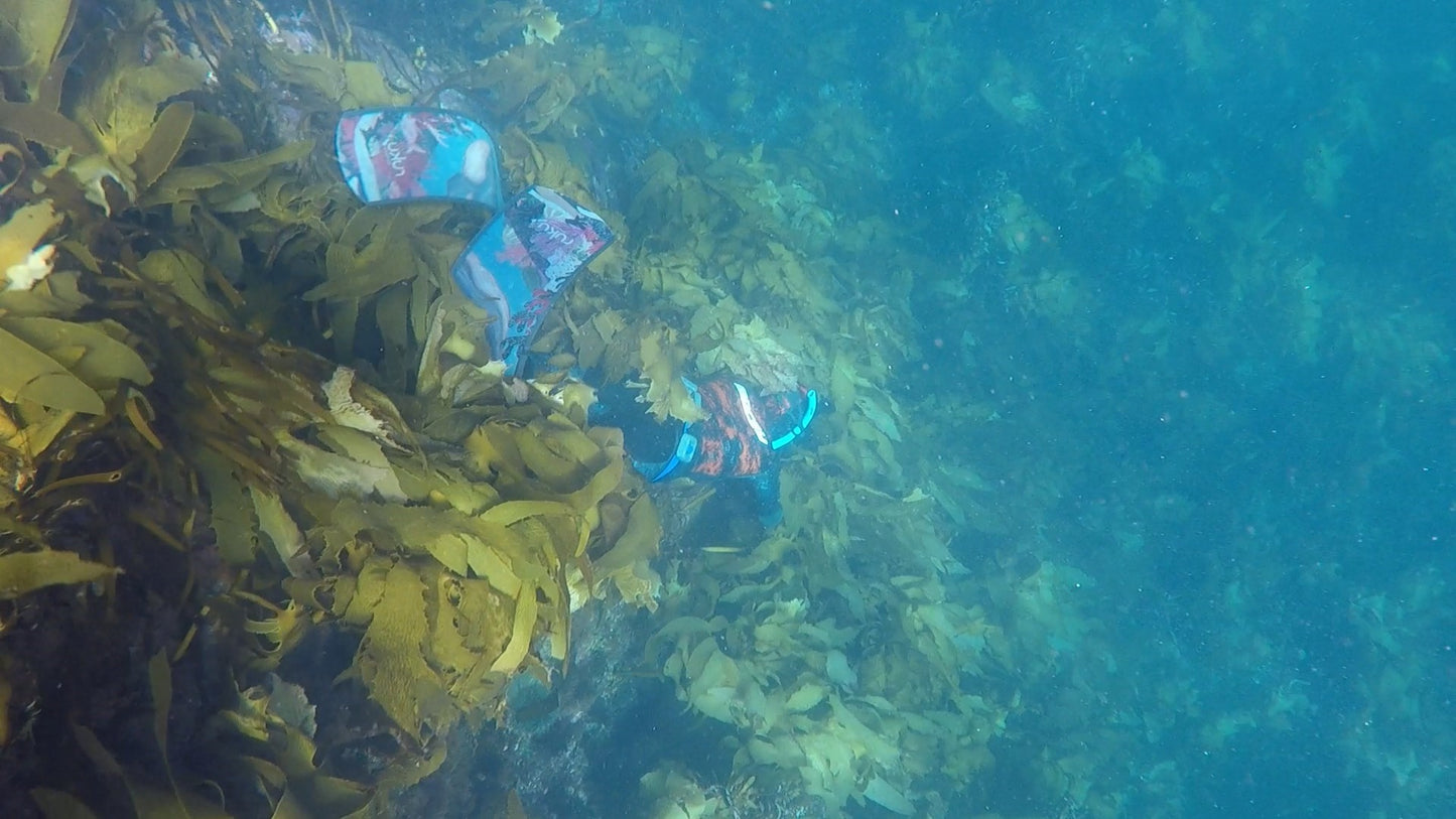PADI Freediver Course (Awe Freedive)